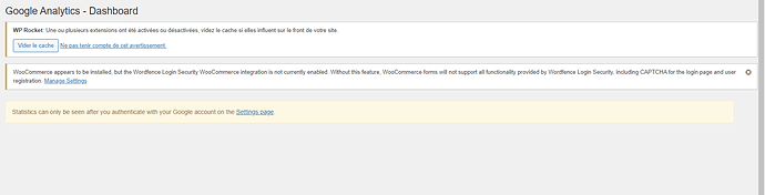 Google analyse Statistique